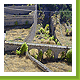la Communication Y a Briancon