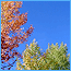 couleurs d'automne a Briançon